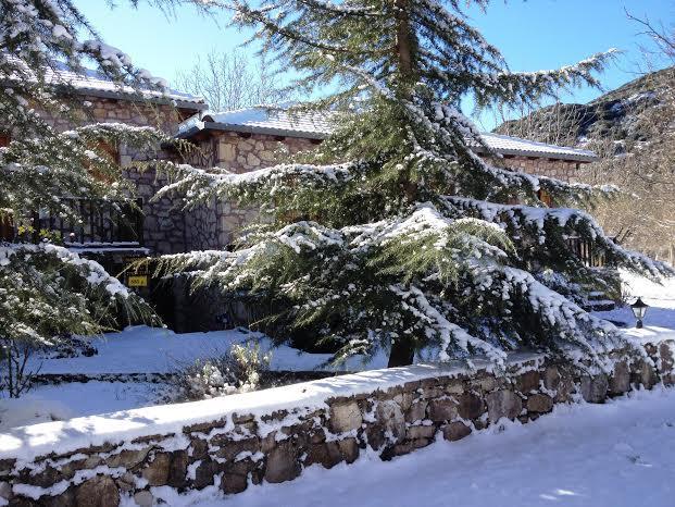 Andrea Sofi Guesthouse Dimitsana Exterior foto
